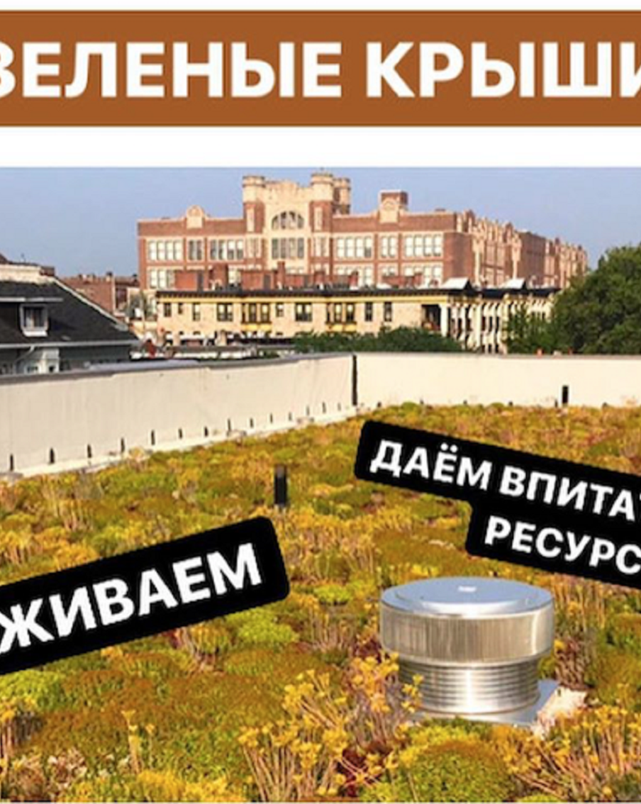 Нынешним летом учёные признали, что мир смогут изменить зелёные технологии. Экоактивистка рассказала Metro, какие проблемы можно будет решить с их помощью