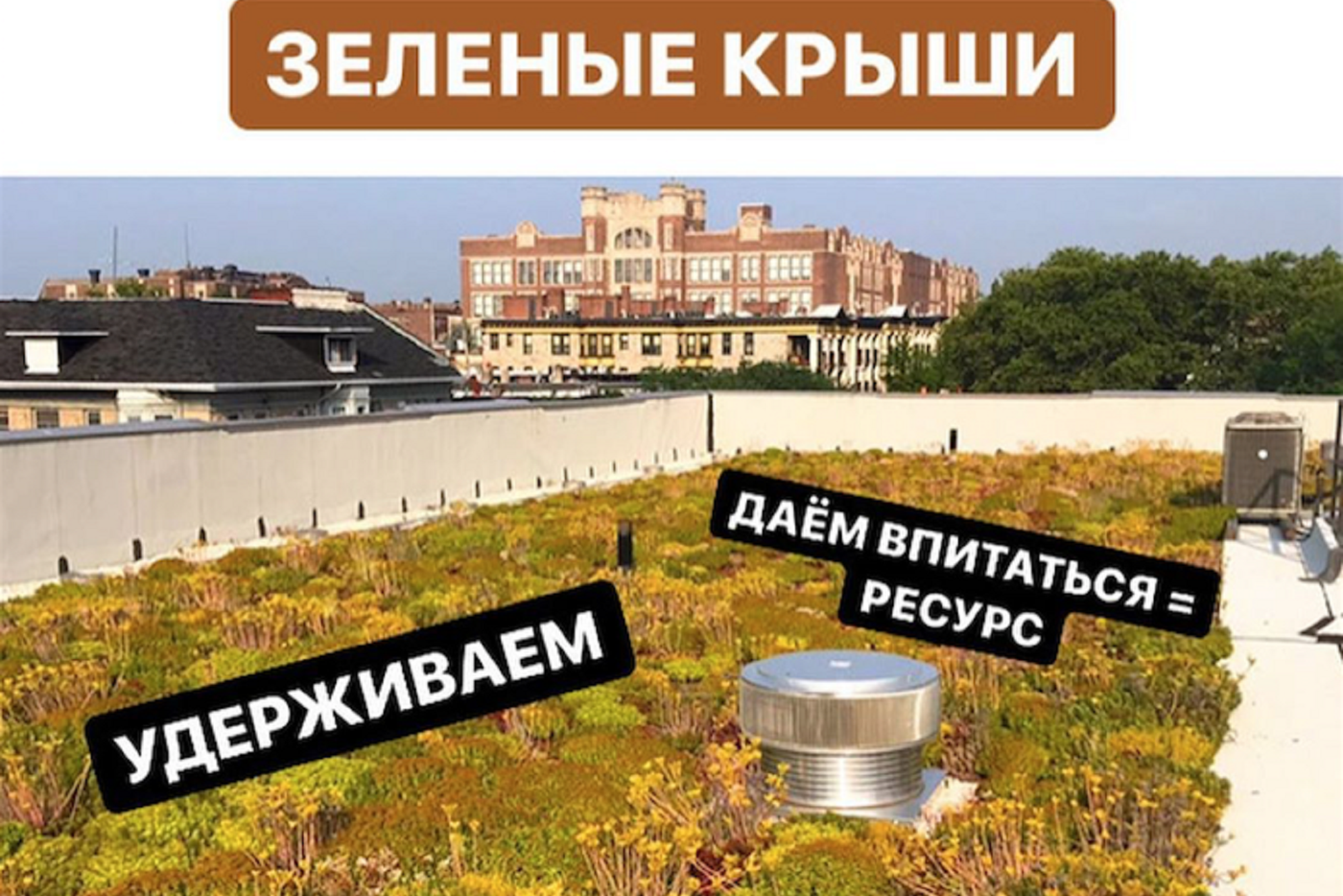 По мнению учёных, зелёные технологии будут очень востребованы уже в ближайшем будущем