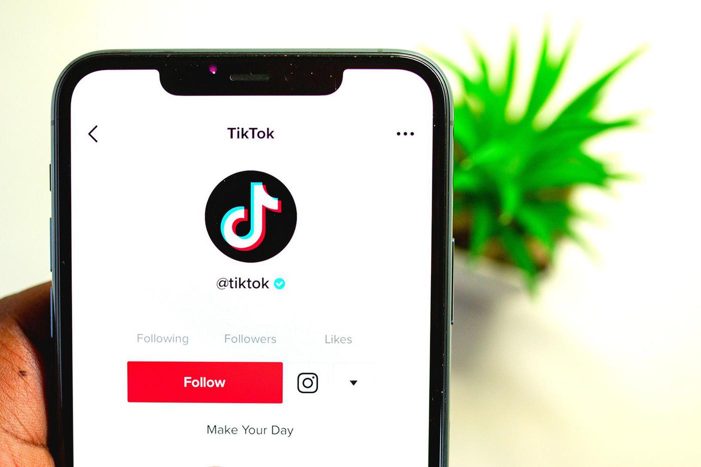 Педагог ведёт занятия в TikTok и не слушает хейтеров
