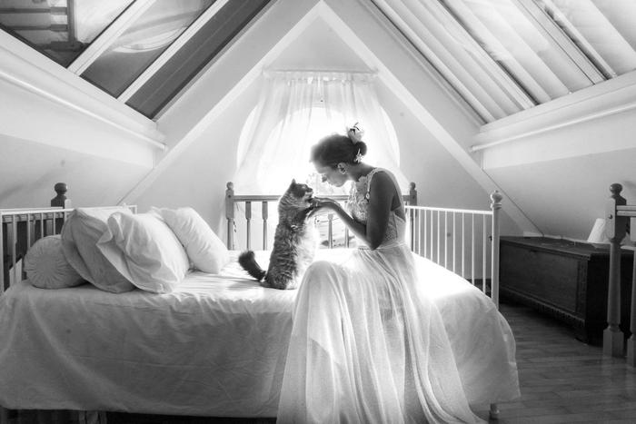 "Я работаю с котами в Венеции, разве можно желать чего-то ещё?" Итальянка снимает милых животных в моменты их счастья