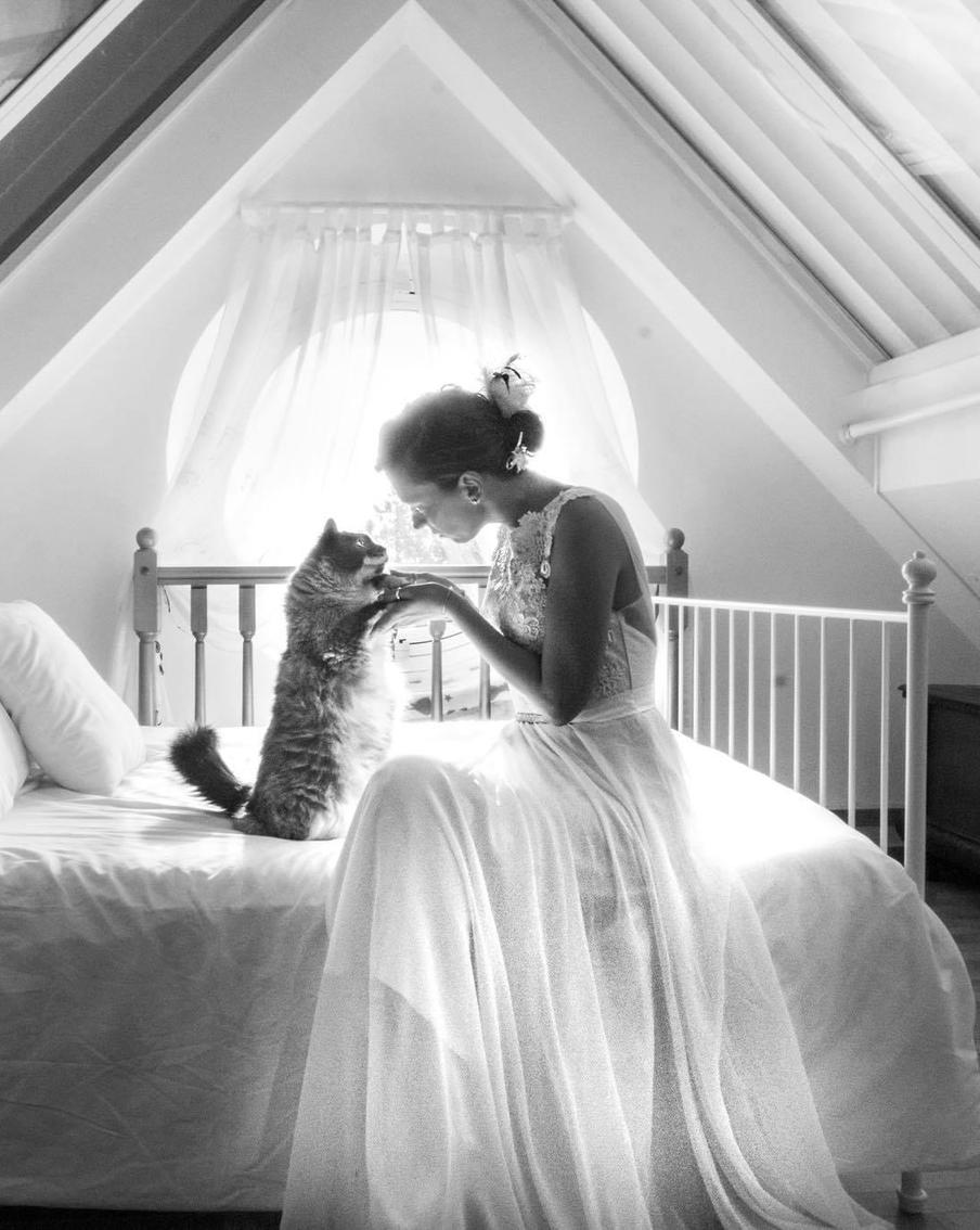 "Я работаю с котами в Венеции, разве можно желать чего-то ещё?" Итальянка снимает милых животных в моменты их счастья