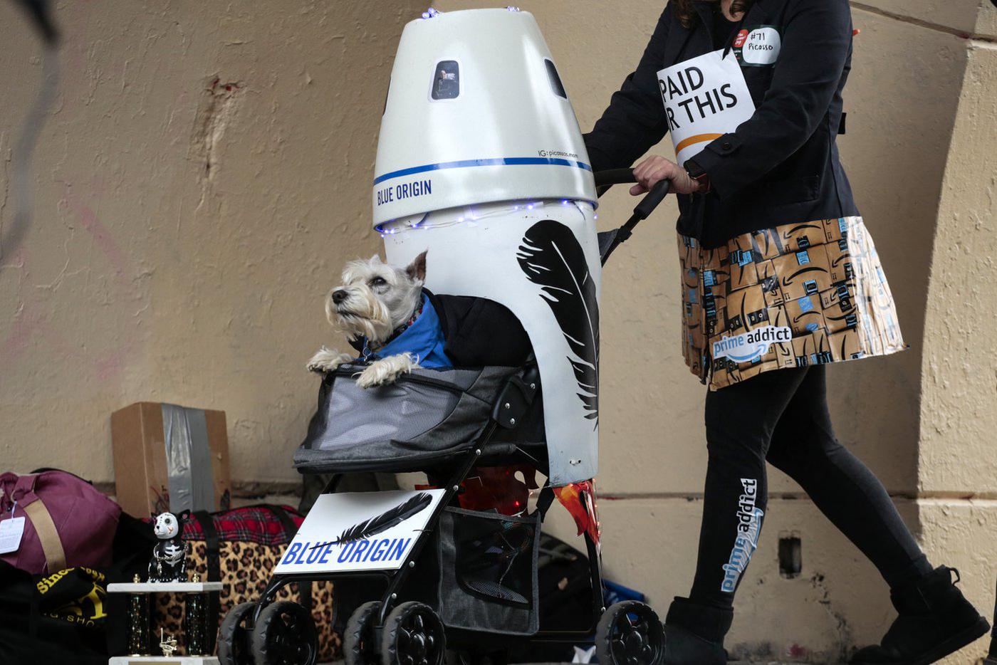 Вы только посмотрите на целеустремлённый взгляд этого пёсика. Он точно намерен покорить космос!