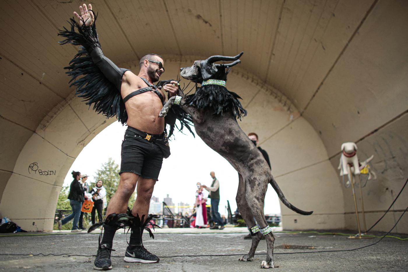 Такую Малефисенту вы точно ещё не видели!