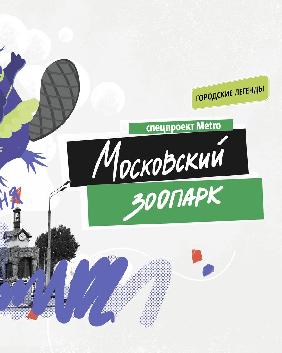Бобёр организовал "пенную вечеринку" в Московском Зоопарке, чтобы покорить сердце своей возлюбленной