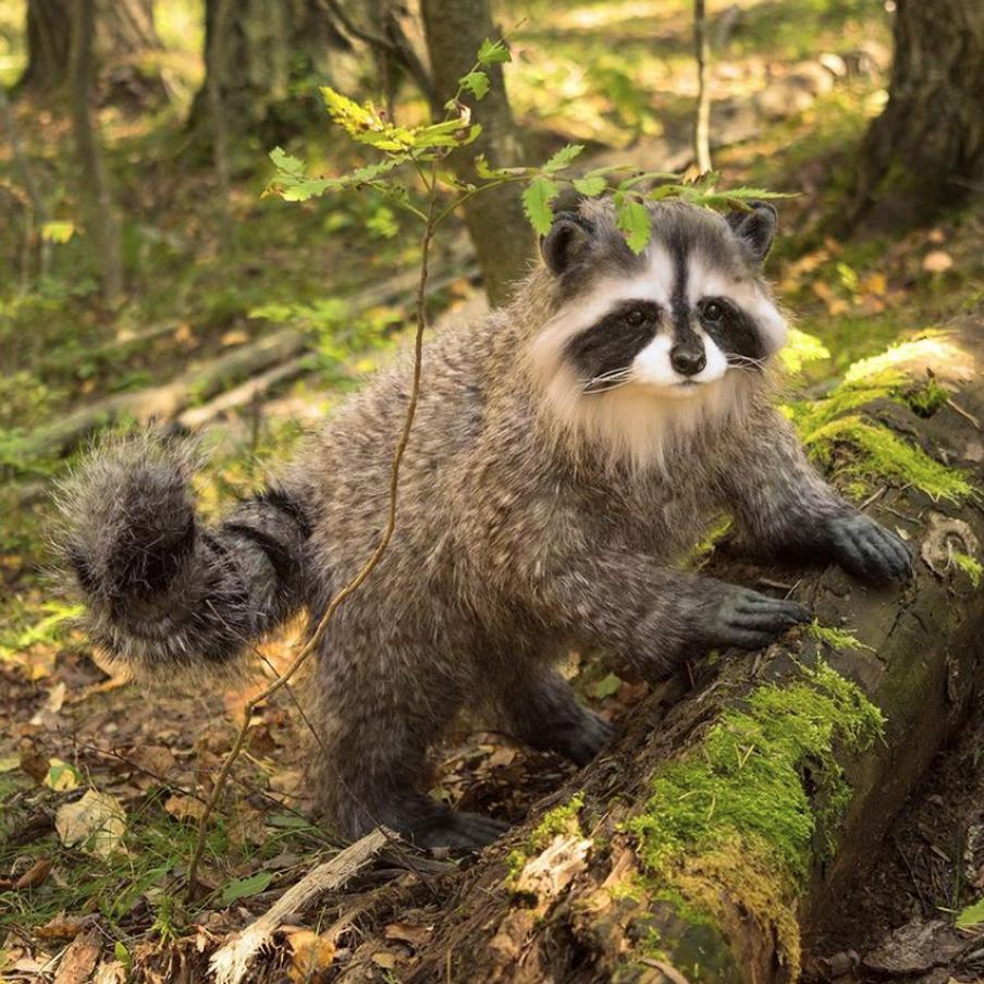 "Я вижу, что недотягиваю до совершенства, но кайфую от того, что делаю".