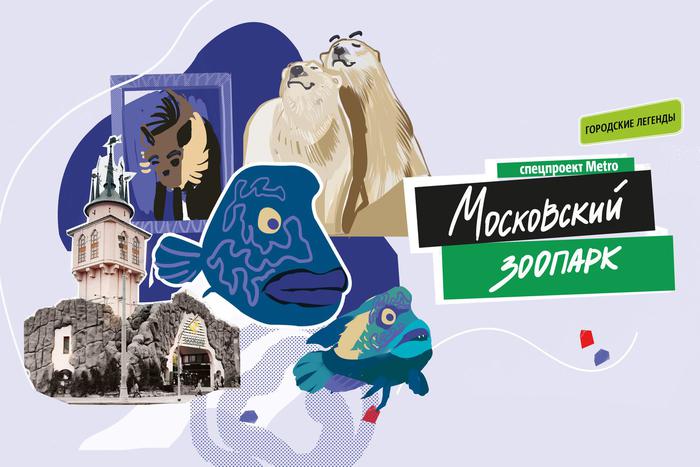 В Московском зоопарке раньше жил настоящий Чебурашка