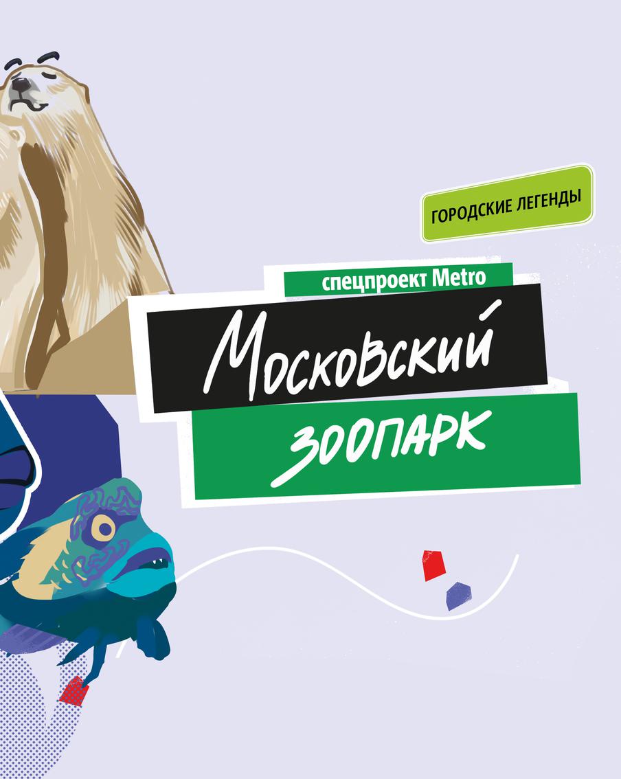 В Московском зоопарке раньше жил настоящий Чебурашка