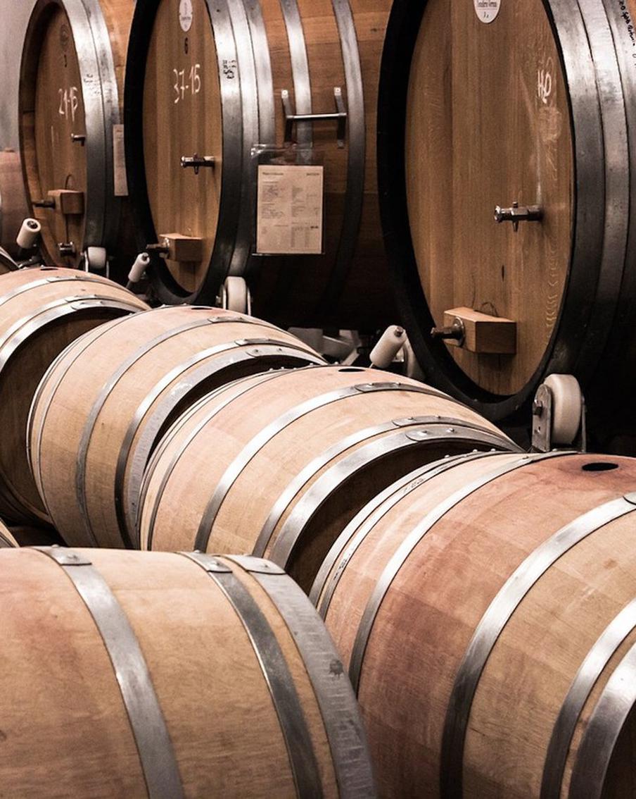 $800 тысяч за бочку вина на аукционе пойдут на борьбу с насилием в отношении женщин