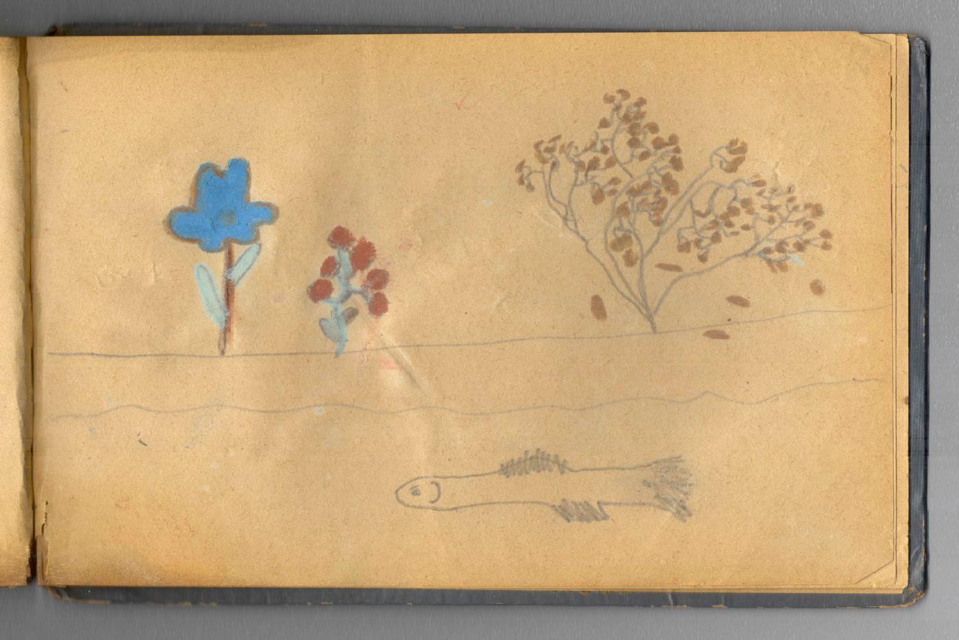 Рисунки Натальи Сурковой.