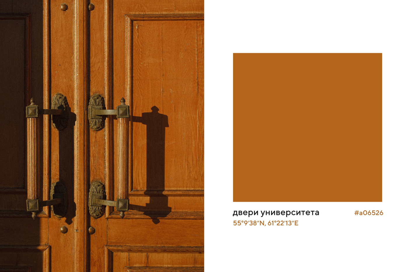 Проект "Палитра без времени" Шульгиных