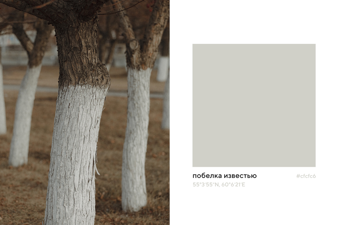 Проект "Палитра без времени" Шульгиных