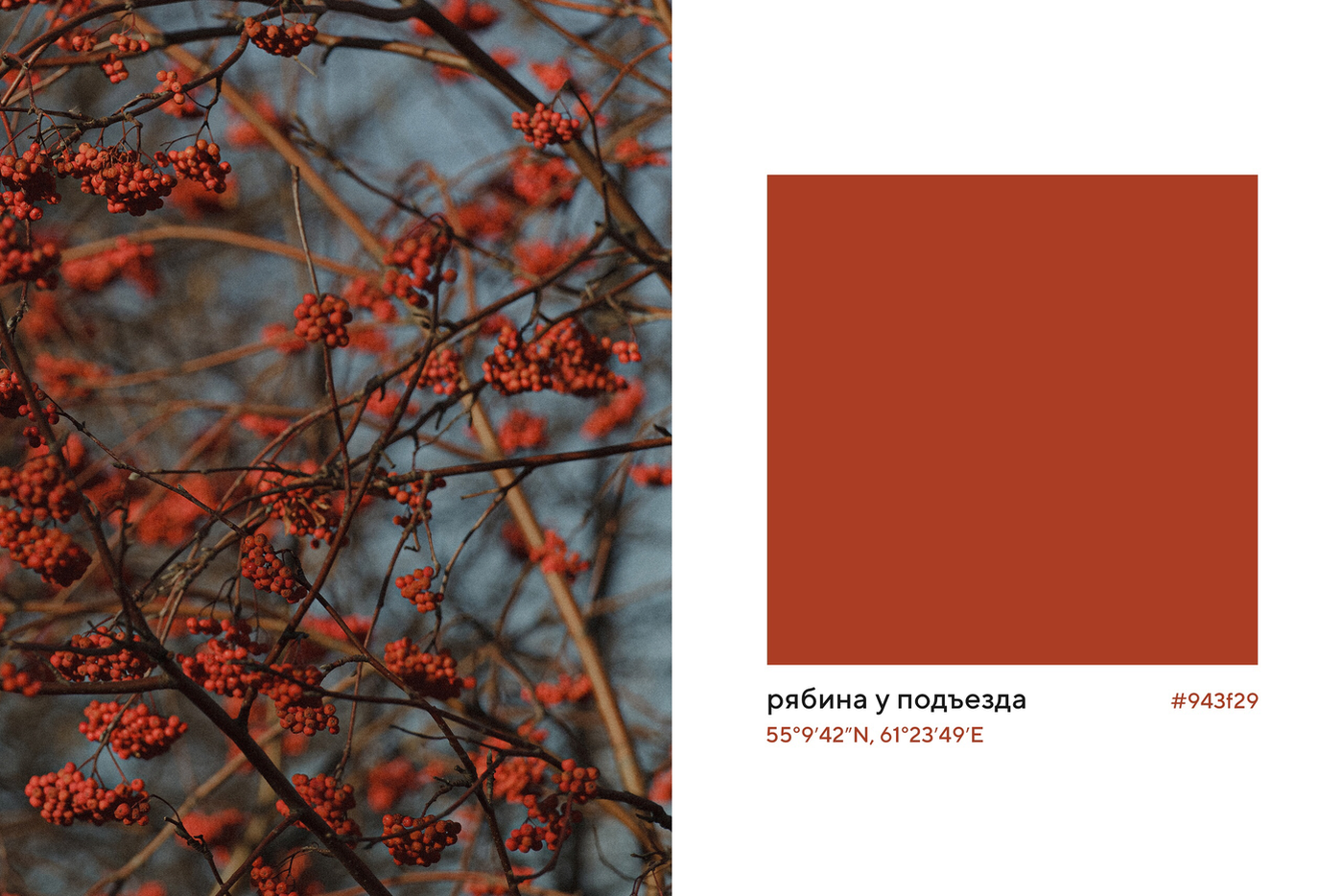 Проект "Палитра без времени" Шульгиных