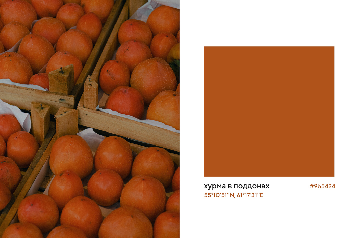 Проект "Палитра без времени" Шульгиных