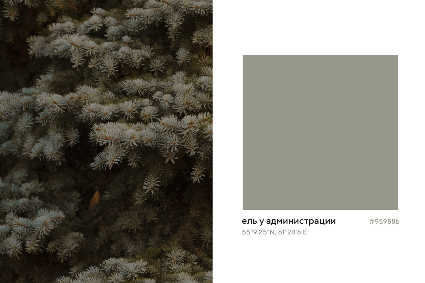 Проект "Палитра без времени" Шульгиных