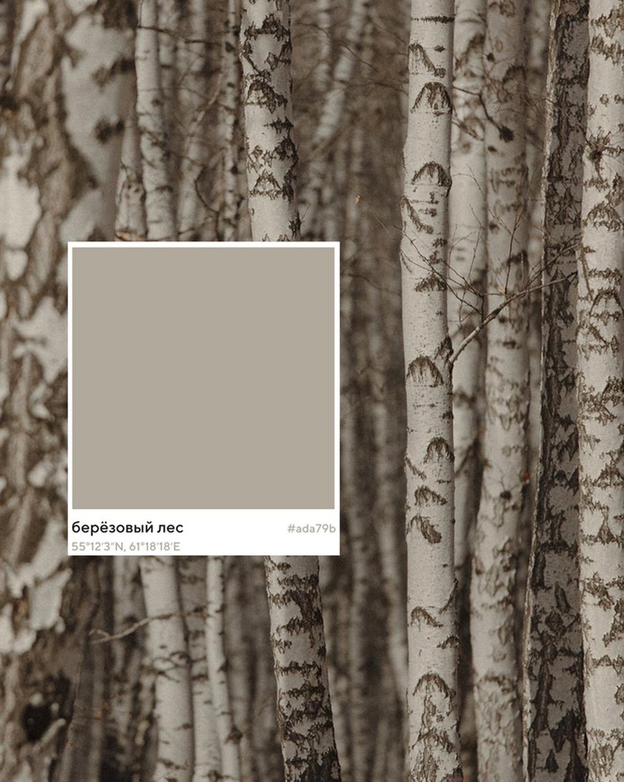 "Это палитра нашей повседневной жизни": фотографы рассказали об уникальном проекте