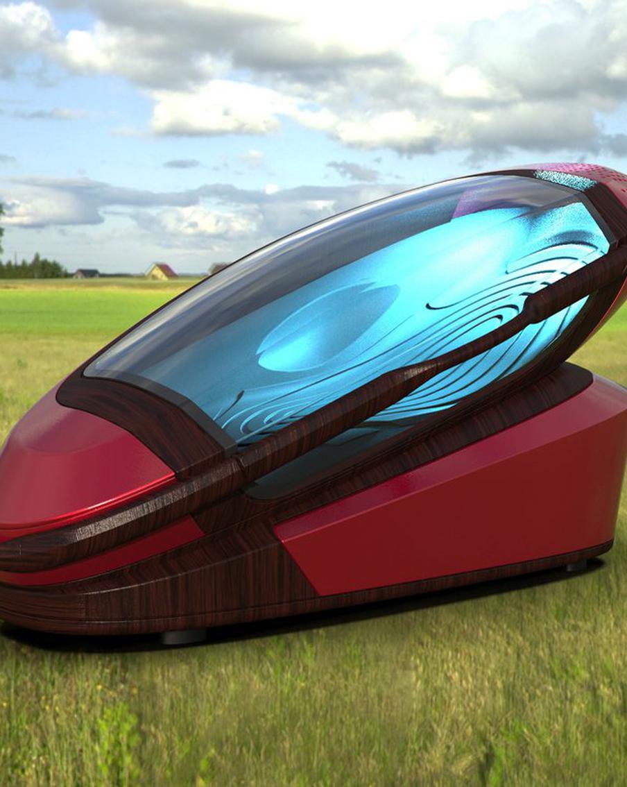 В Швейцарии появятся "саркофаги смерти". Их будут применять для эвтаназии на природе