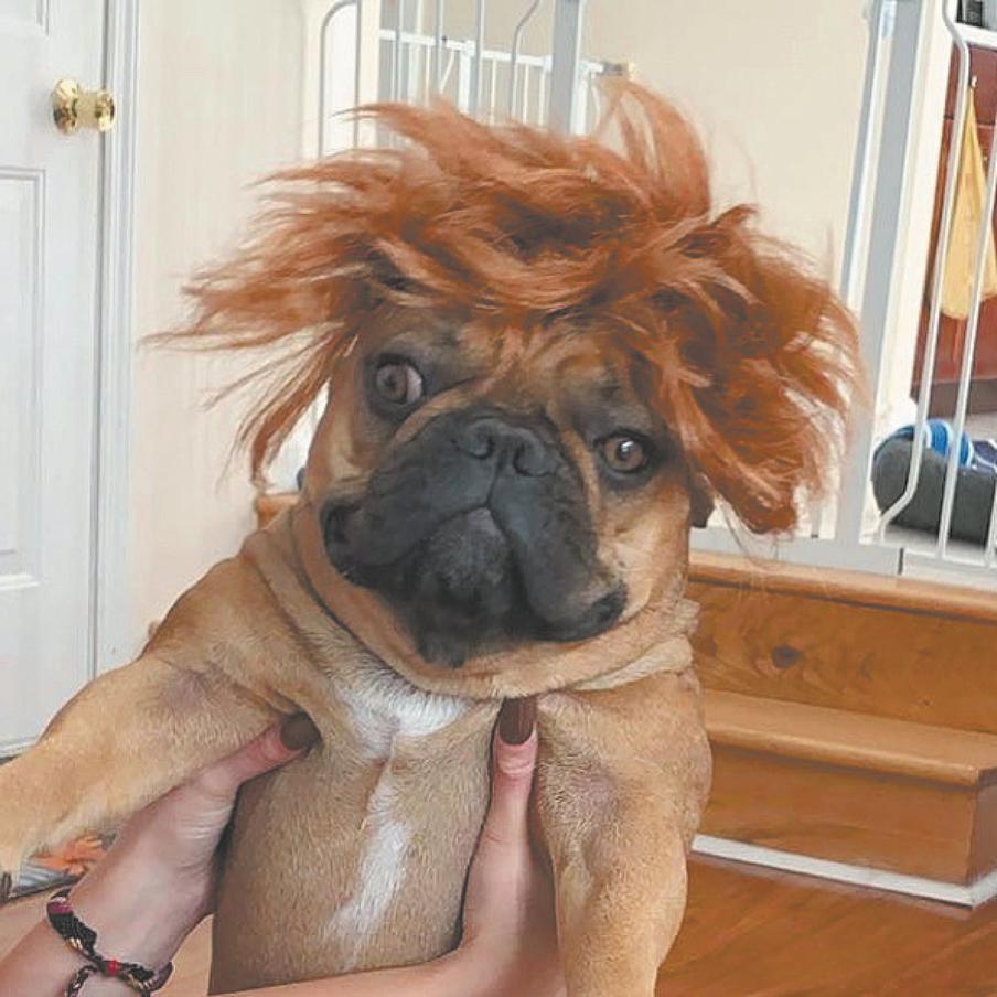 Только проснулся, а от тебя уже что-то хотят.