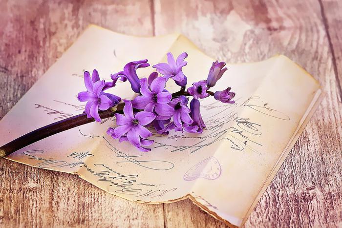 О чем рассказывали родным бойцы, отстоявшие столицу в 1941-1942 годах: читаем письмо Алексея Кашёлкина