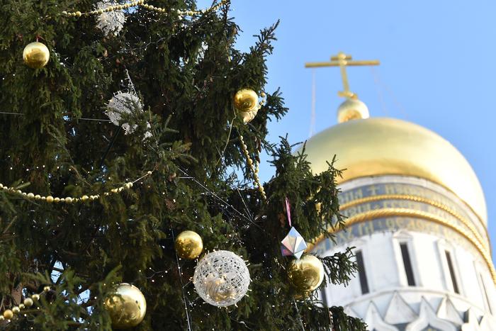 На Соборной площади установили главную ёлку страны: Metro заметило, что главное дерево Кремля год от года стройнеет и молодеет