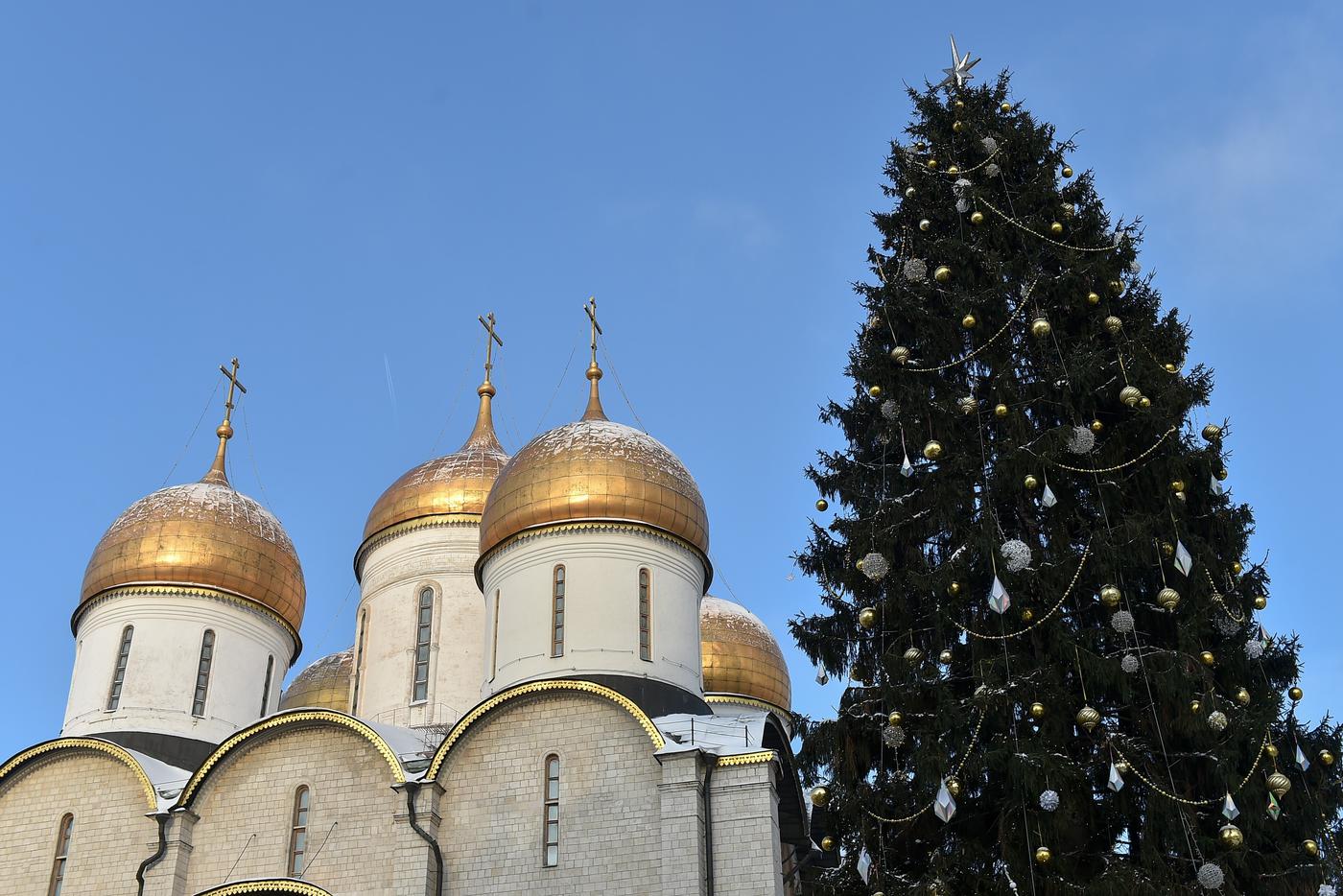 Новая ёлка – молода и стройна.