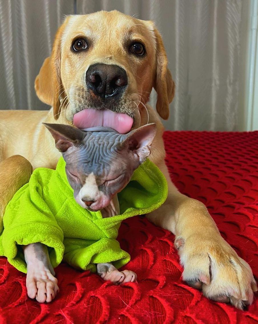 Для Дени даже его друг вкусный.