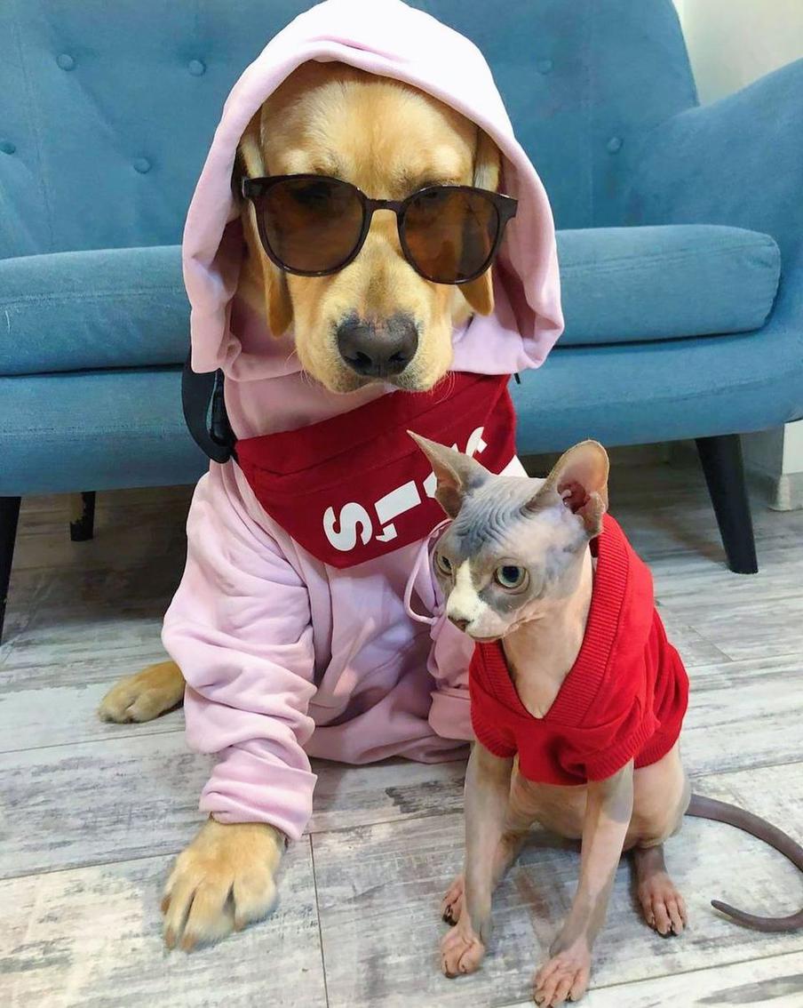 Стильный прикид по последней моде.