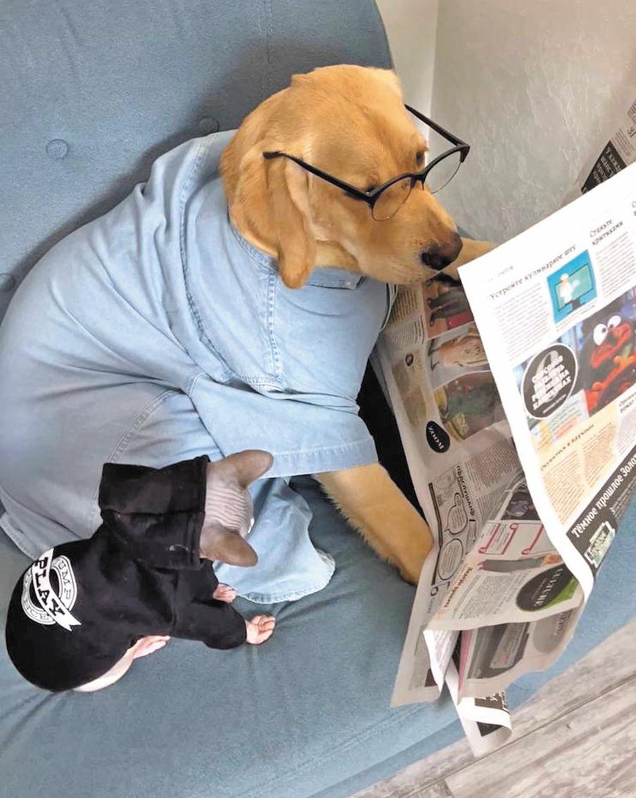 Дени и Мэни любят вместе «читать» газету, в том числе Metro, что можно увидеть на этом снимке.