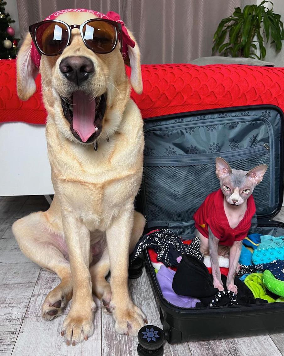 Если в отпуск, то только вместе.