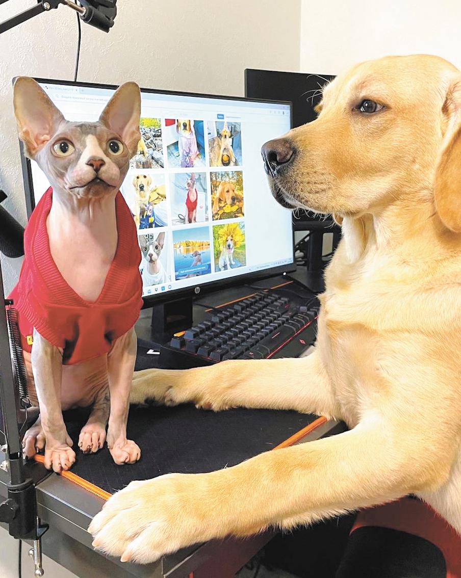 Эта парочка покорила соцсети благодаря своему трогательному отношению друг к другу.