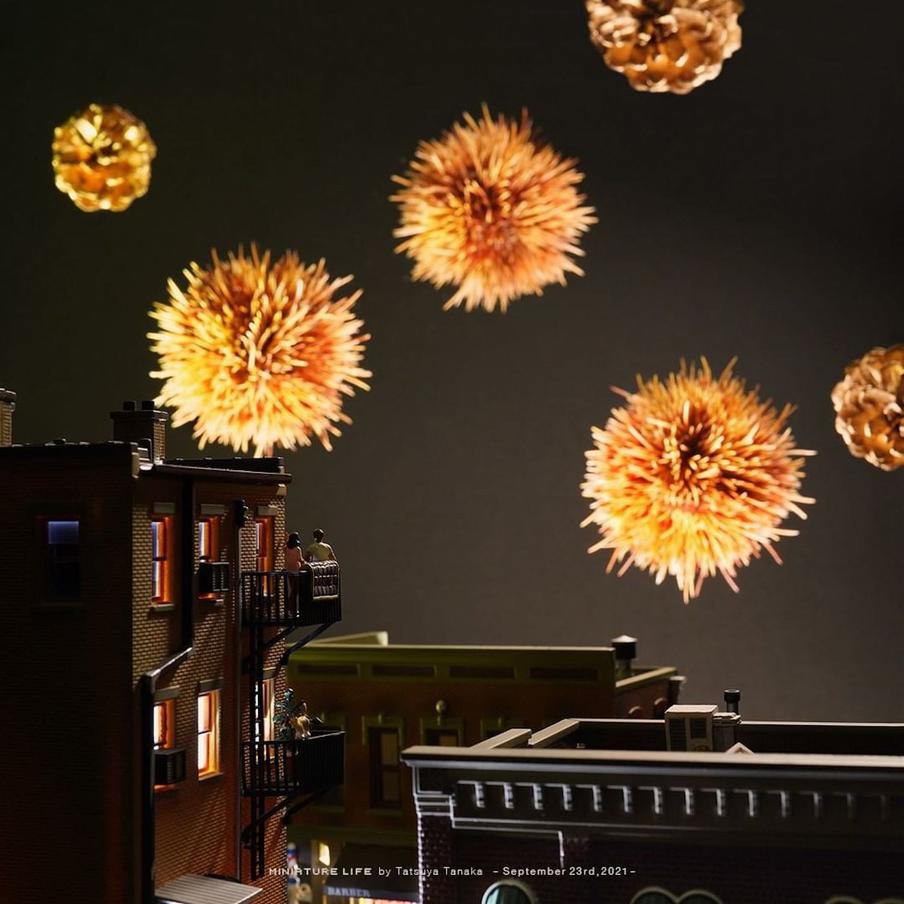 Танака закончил университет по специальности "Искусство".