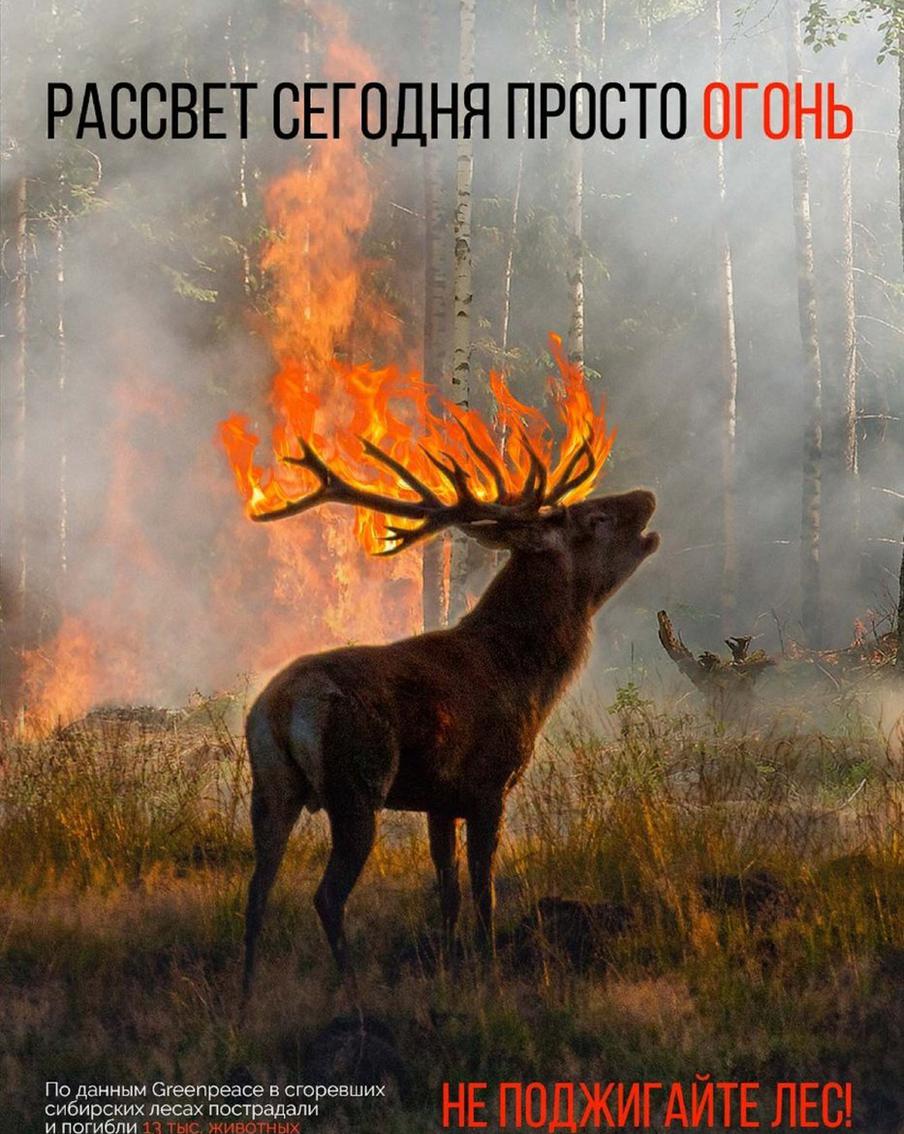 3-е место в номинации "Свободная тема". Работа Даниелы Ионаш и Яны Семеновой на экологическую тему.