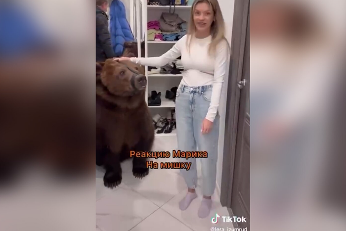 Медведь напрокат. Дорого! В подмосковную квартиру привели дрессированного хищника