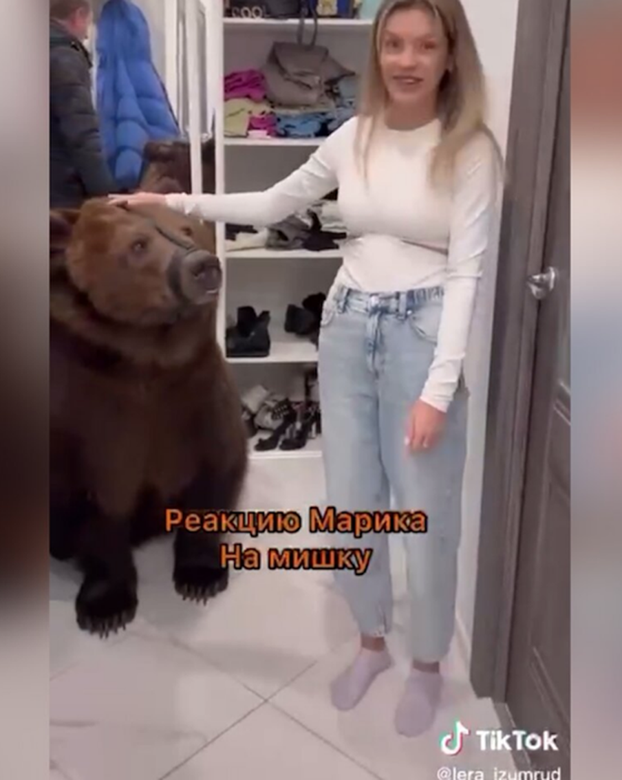 Медведь напрокат. Дорого! В подмосковную квартиру привели дрессированного хищника