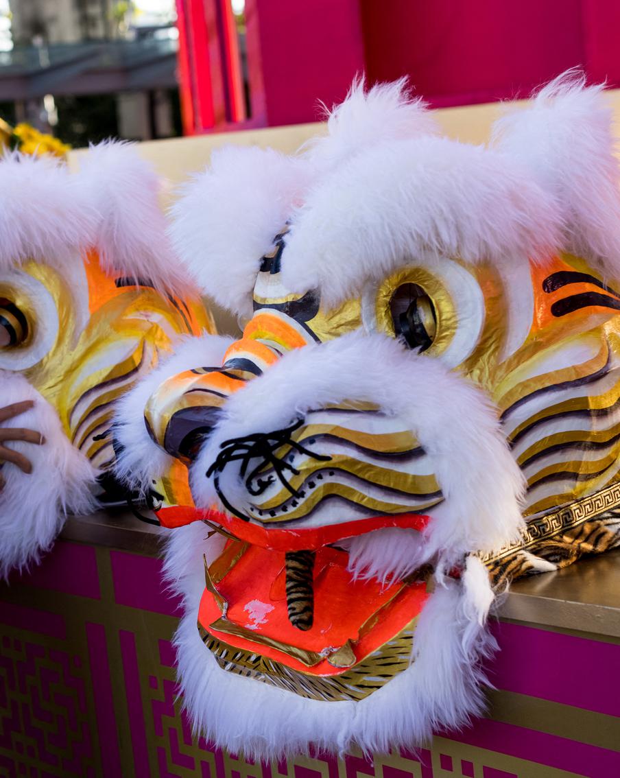 Год Тигра вступает в свои права: чего от него ждать