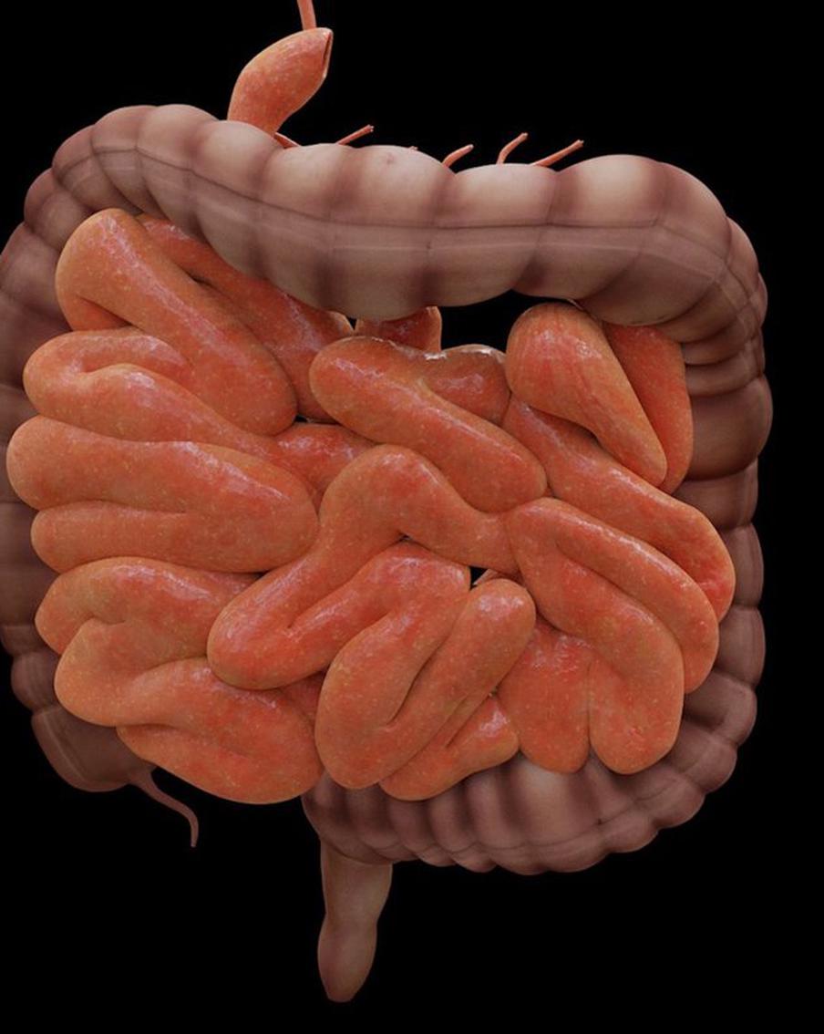 4 февраля – Всемирный день борьбы против рака. Опрашиваем онколога о раке кишечника