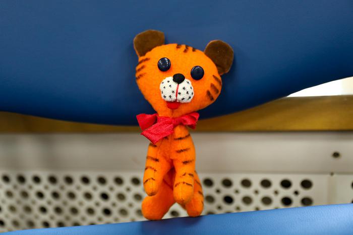 Как тигрята, слоны и мыши умягчают сердца. Пенсионеры "Московского долголетия" дарят любовь