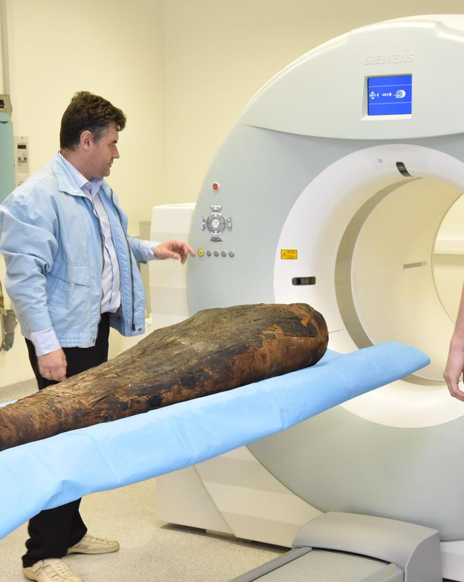 Учёные Курчатовского института установили, кто скрывался с древних времен за бинтами и какая связь между египтянами и испанцами