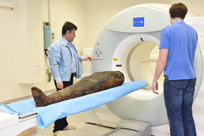 Учёные Курчатовского института установили, кто скрывался с древних времен за бинтами и какая связь между египтянами и испанцами