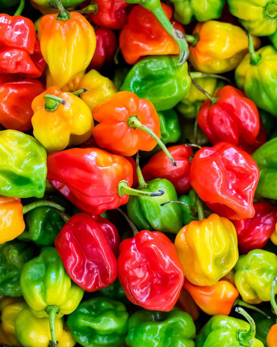 Хорошо, что есть китайские семена! Что надо посадить на подоконнике в марте