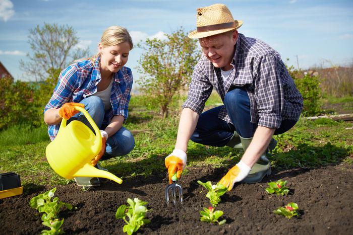 Какие неожиданные эффекты для здоровья можно получить, возделывая собственный сад, огород и грядки весной