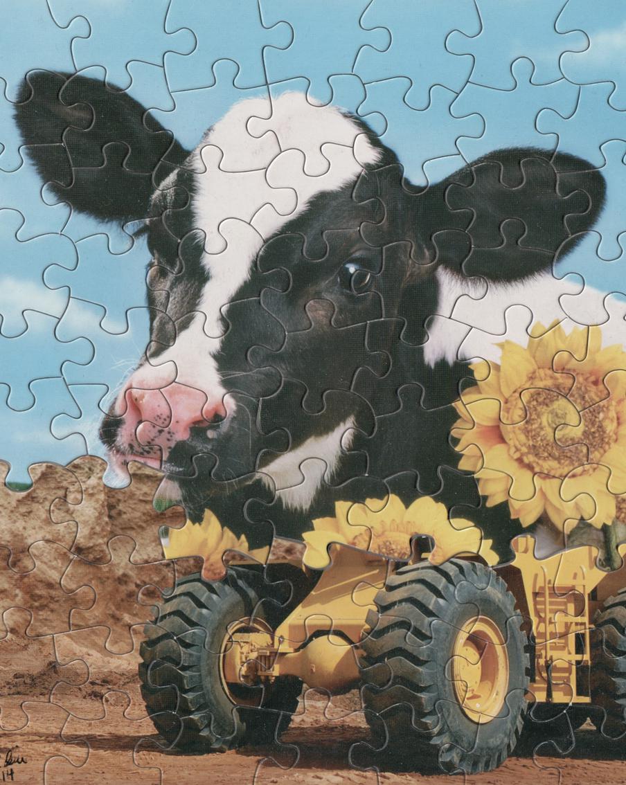 Бульдог-бабочка и лошадь-паровоз. Художник создаёт из пазлов сюрреалистичные картины