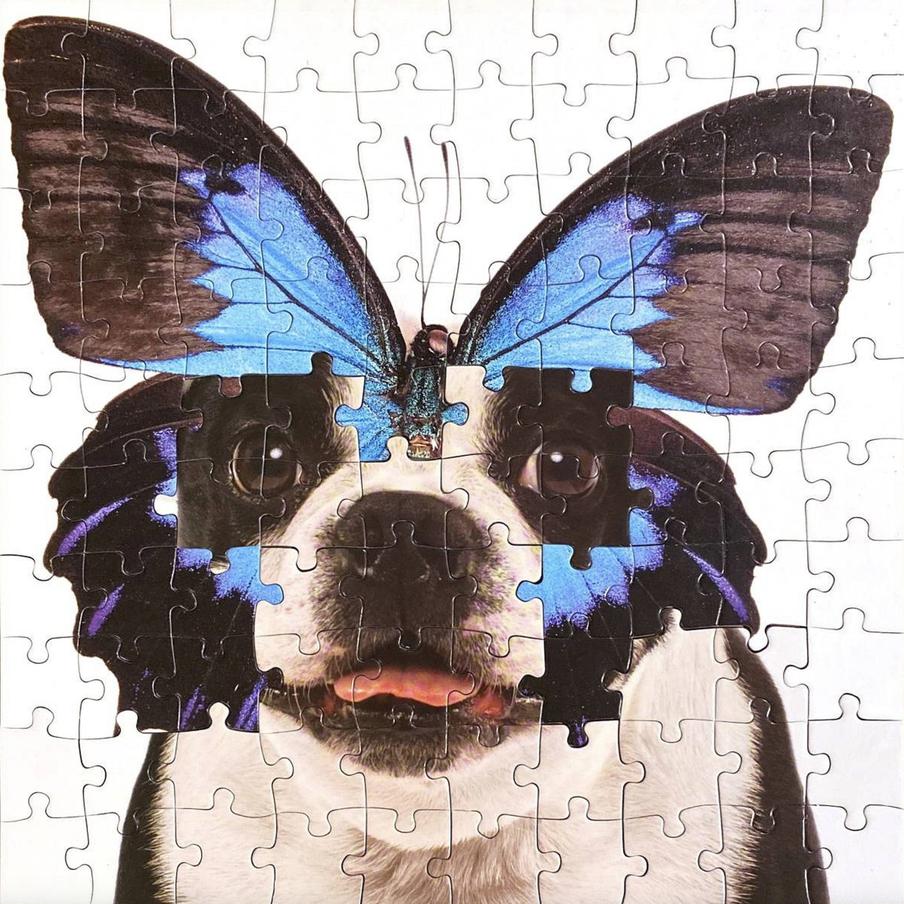 "Метаморфозы".