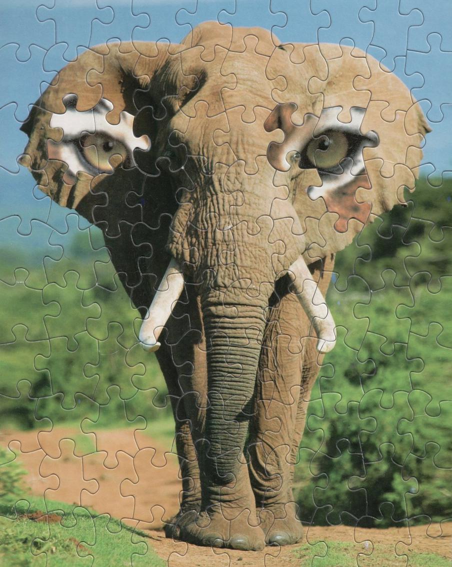 "Всевидящий слон".