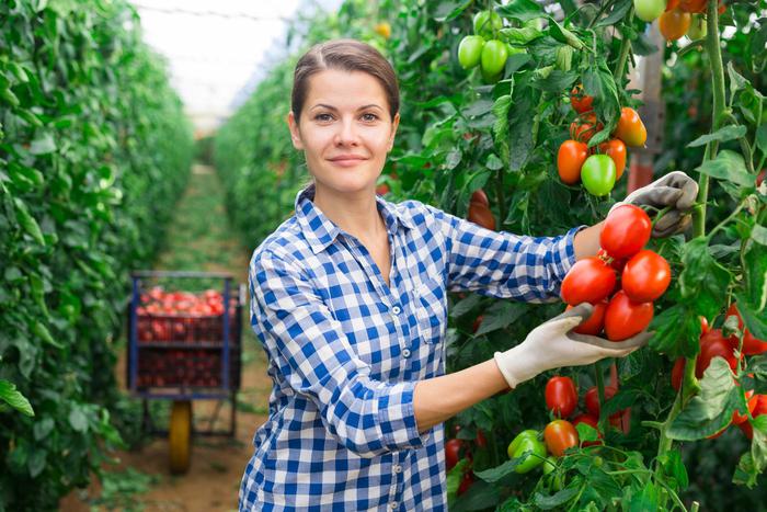 Чтобы выглядеть здоровым,  необязательно бежать к врачу. Нужно лишь включить в рацион продукты, богатые антиоксидантами