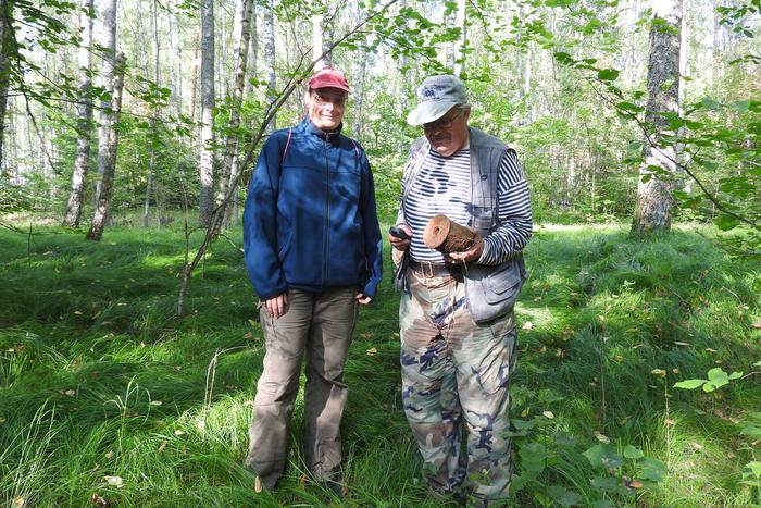 Осока по ленд-лизу и первоцвет из Германии: как растения перекочевали к нам с войной