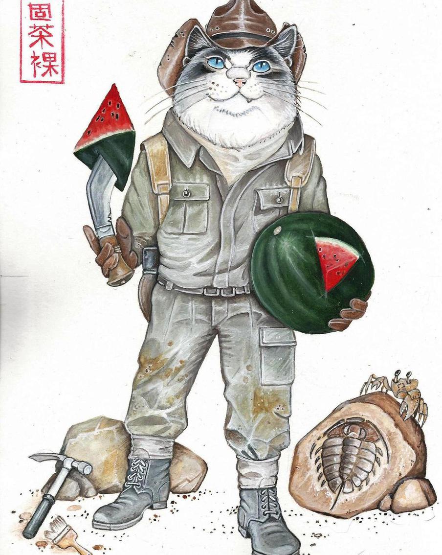 Кот-археолог