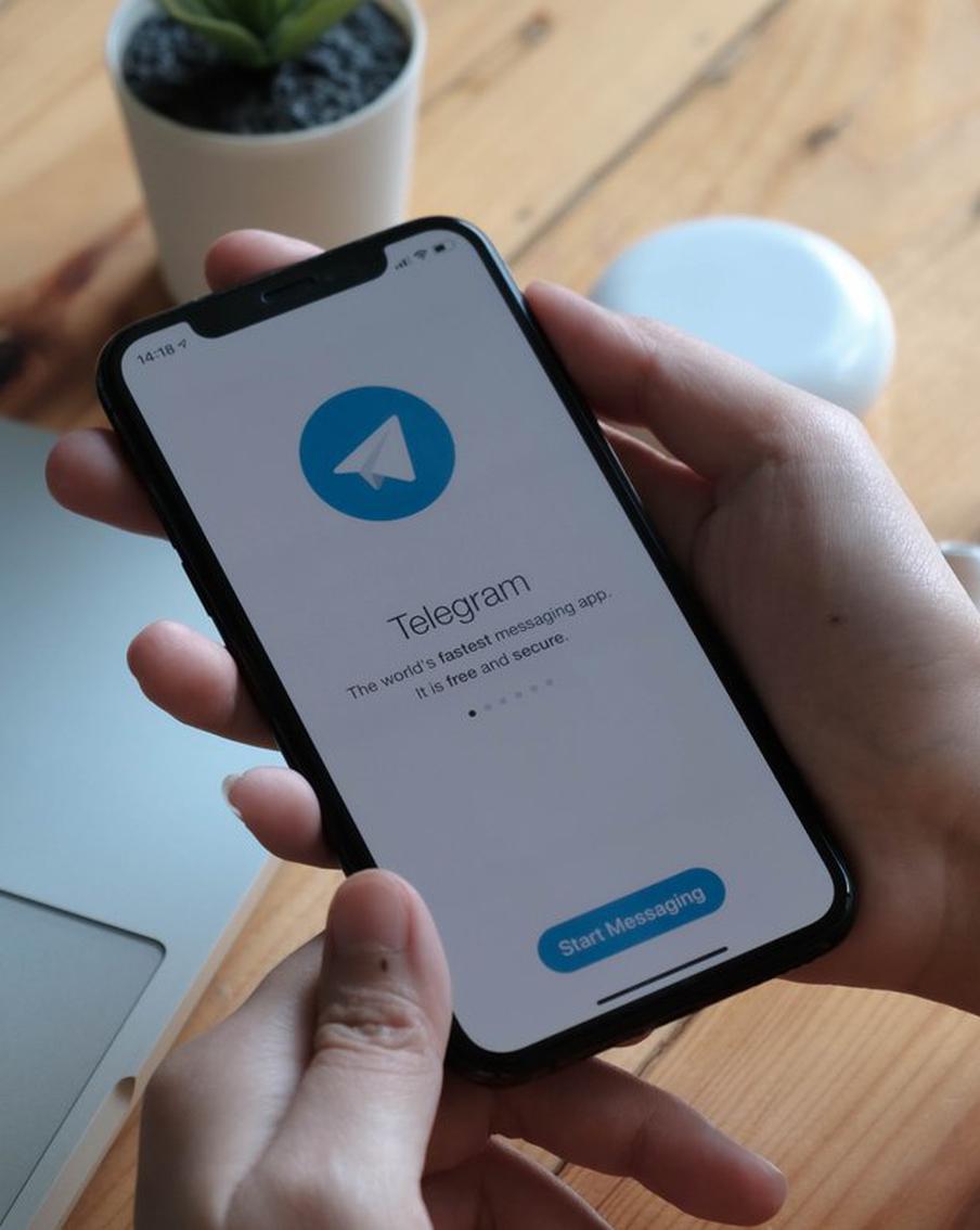 Поясни за мед, ФармПроститутка, или Минздрав головного мозга: На какие Telegram-каналы подписаться, чтобы быть в курсе медновостей