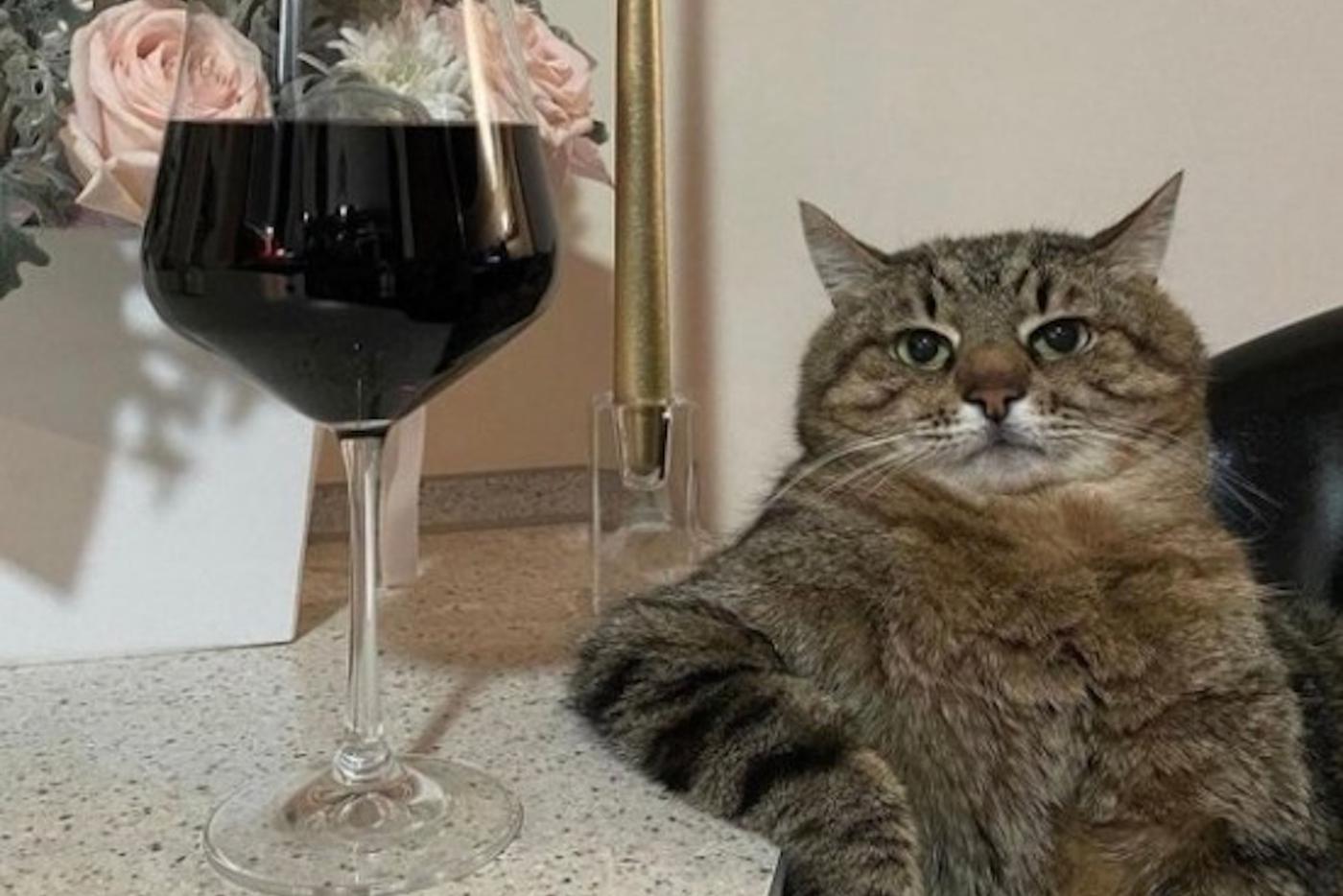 Что роднит мемы с колыбельными и как они влияют на политику. Поговорили с автором книги про этот феномен поп-культуры