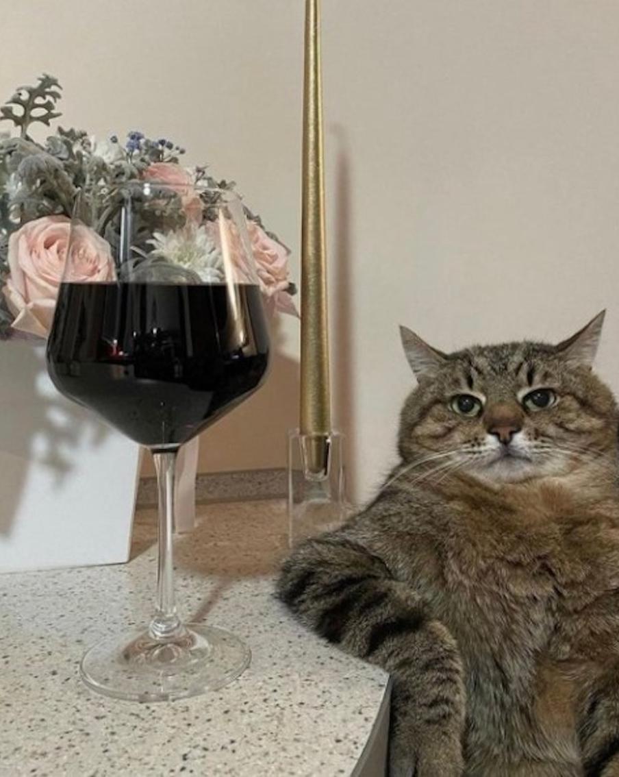 Что роднит мемы с колыбельными и как они влияют на политику. Поговорили с автором книги про этот феномен поп-культуры