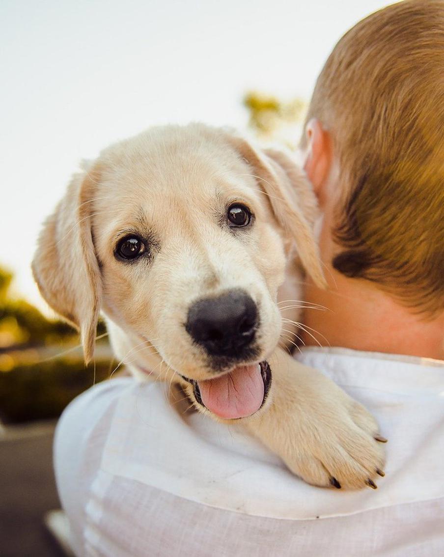 Фамилию согласен принять наследственную... Москвичи хотят называться в честь кумиров и любимых собак